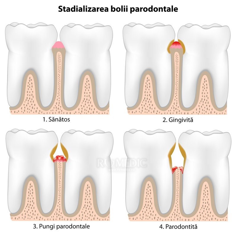 Artex Dental - cabinet stomatologic